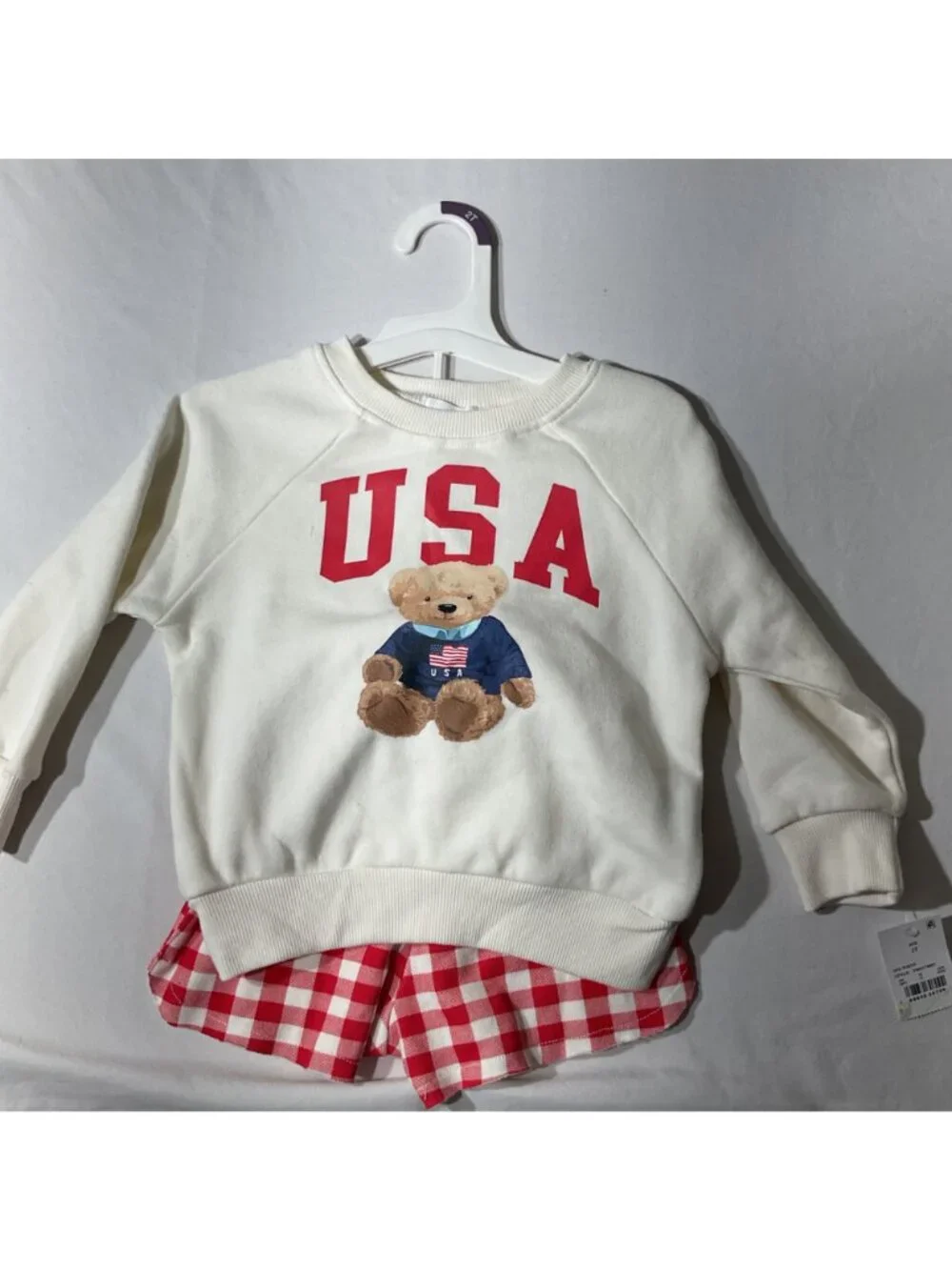 USA target Teddy Bear Sweatshirt & Red Gingham Shorts Set 2T - Toddler Outfit